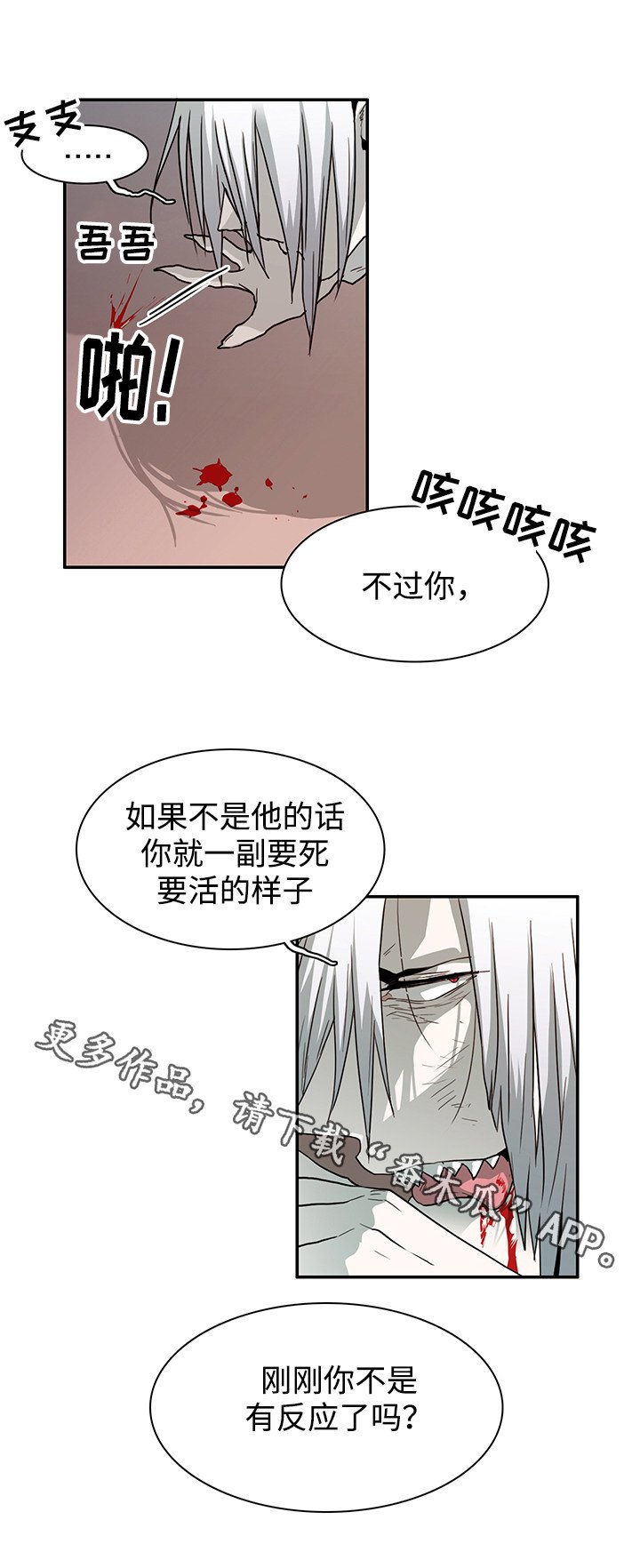 第56章：平静