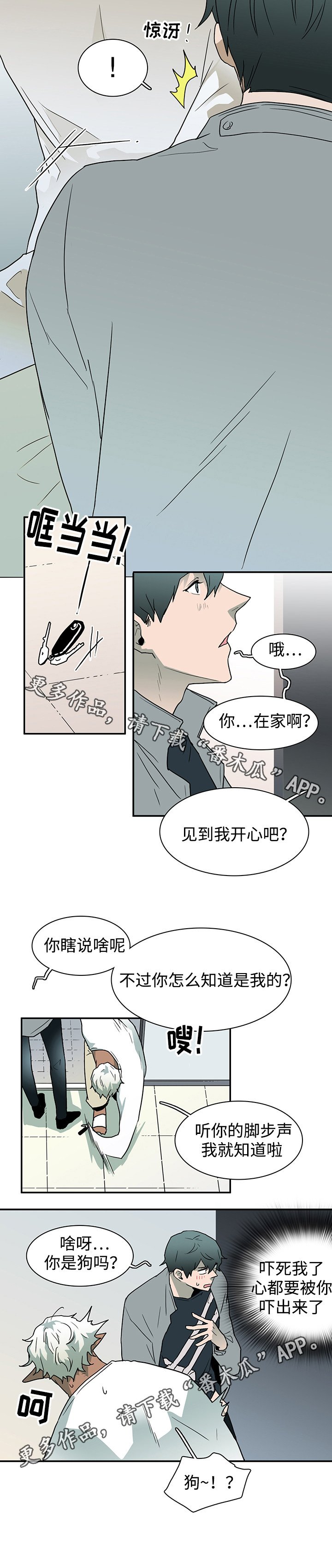 第56章：平静