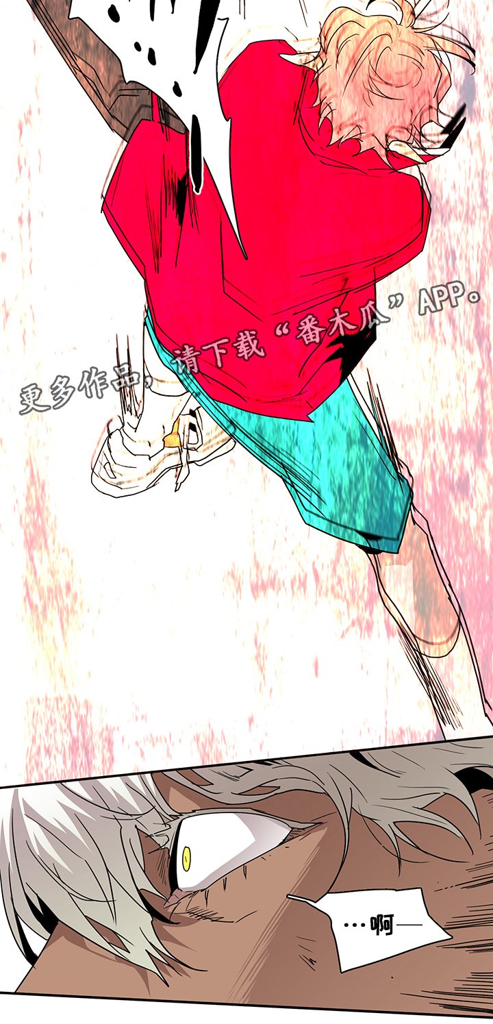 第71章：回答