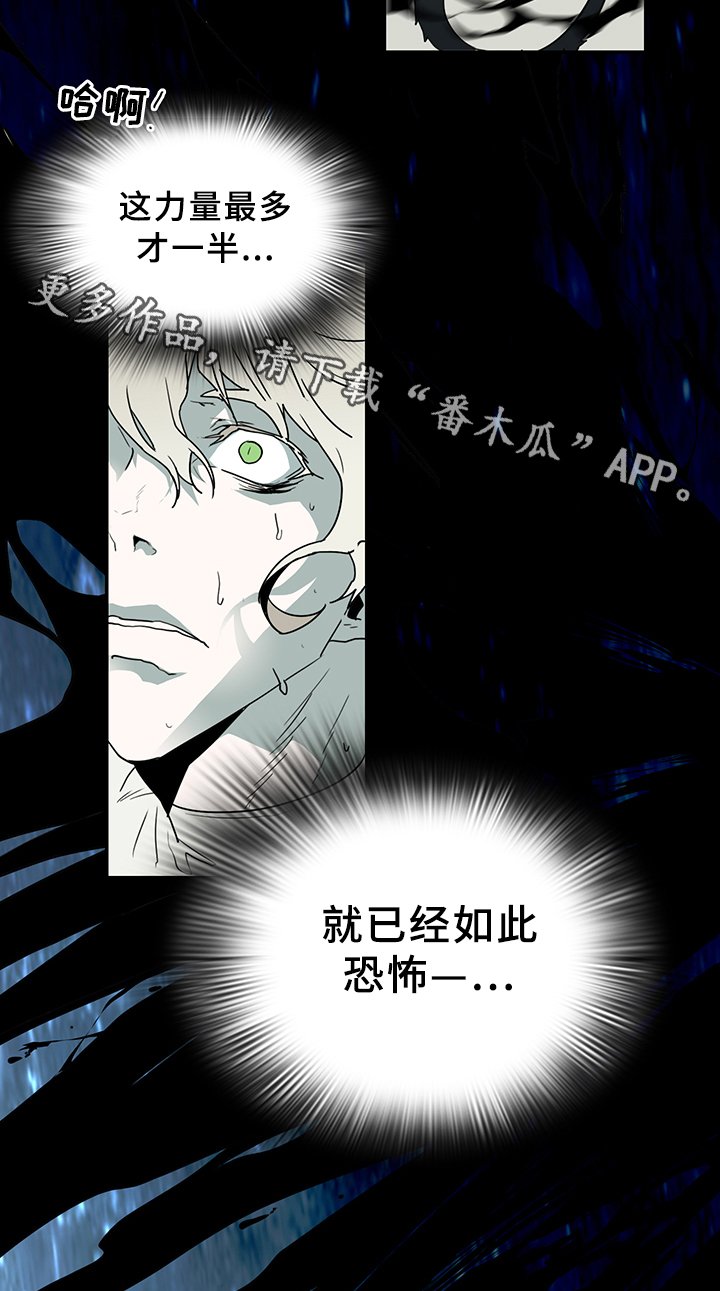 第78章：力量