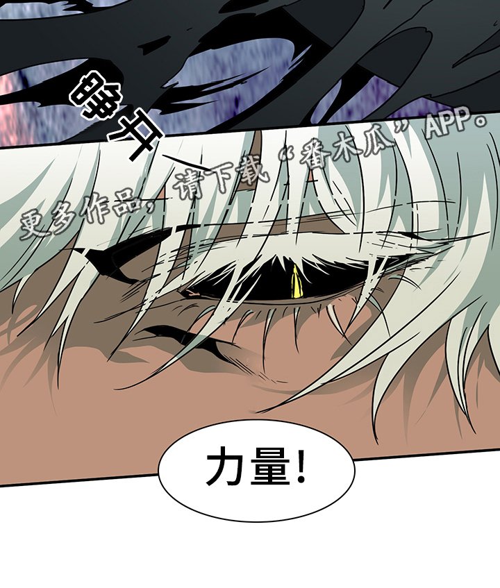 第78章：力量