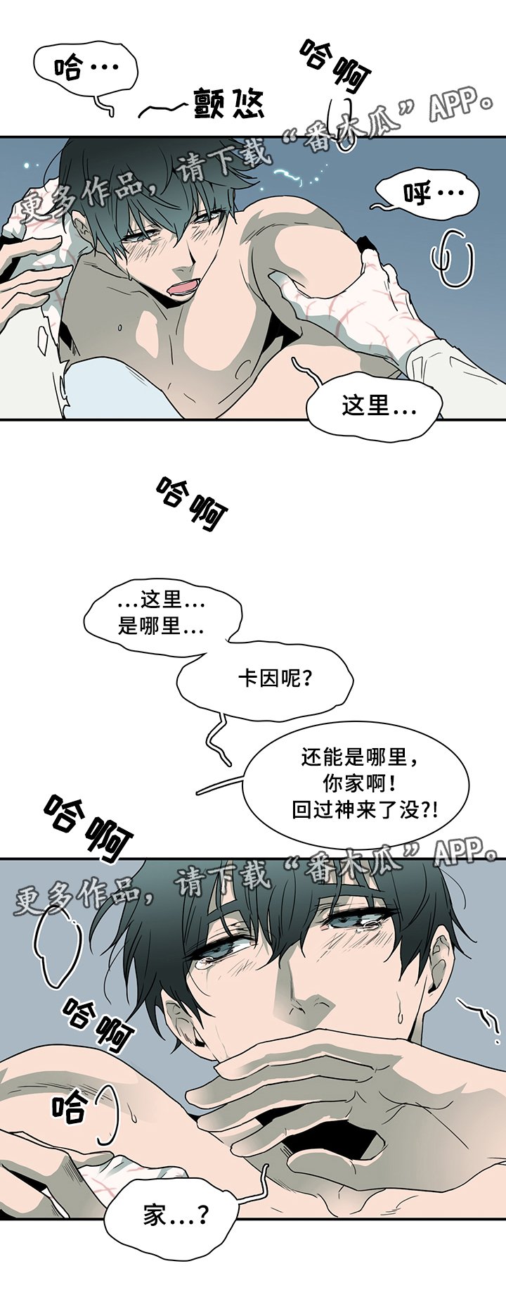 第78章：力量