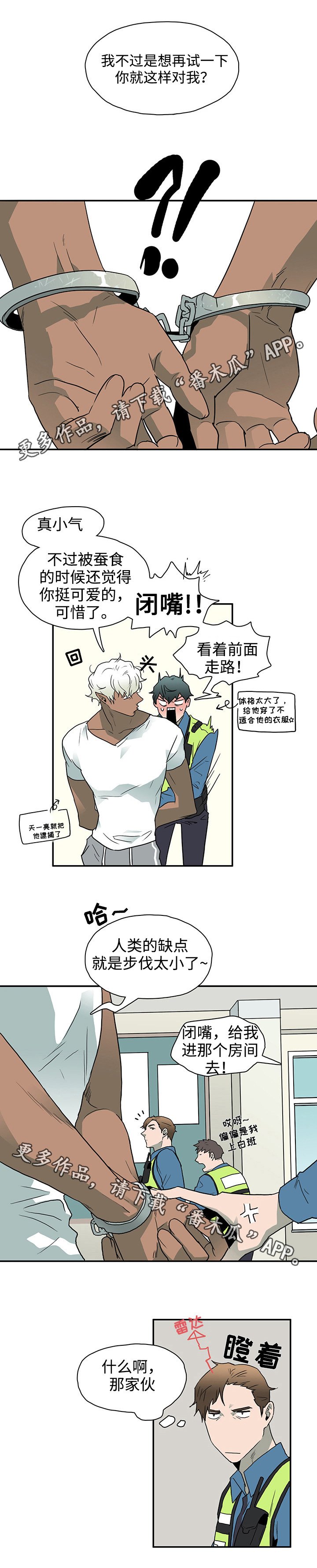 第8章：卡因
