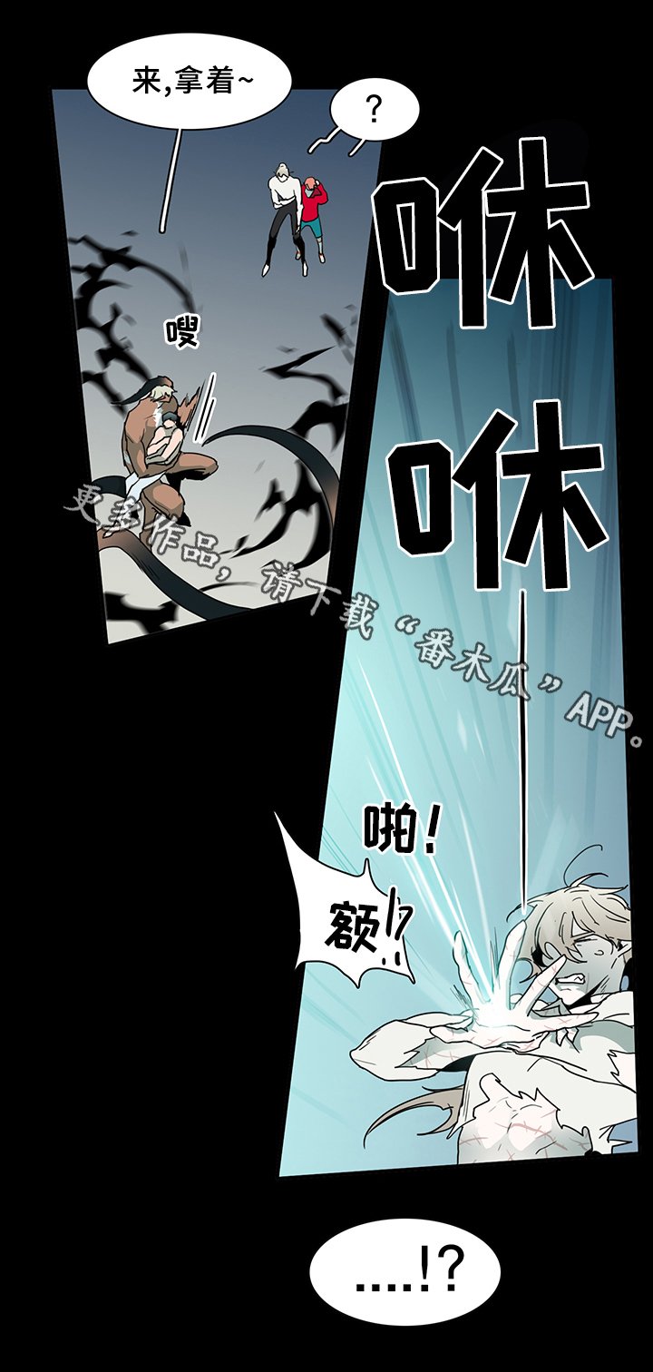 第80章：真相