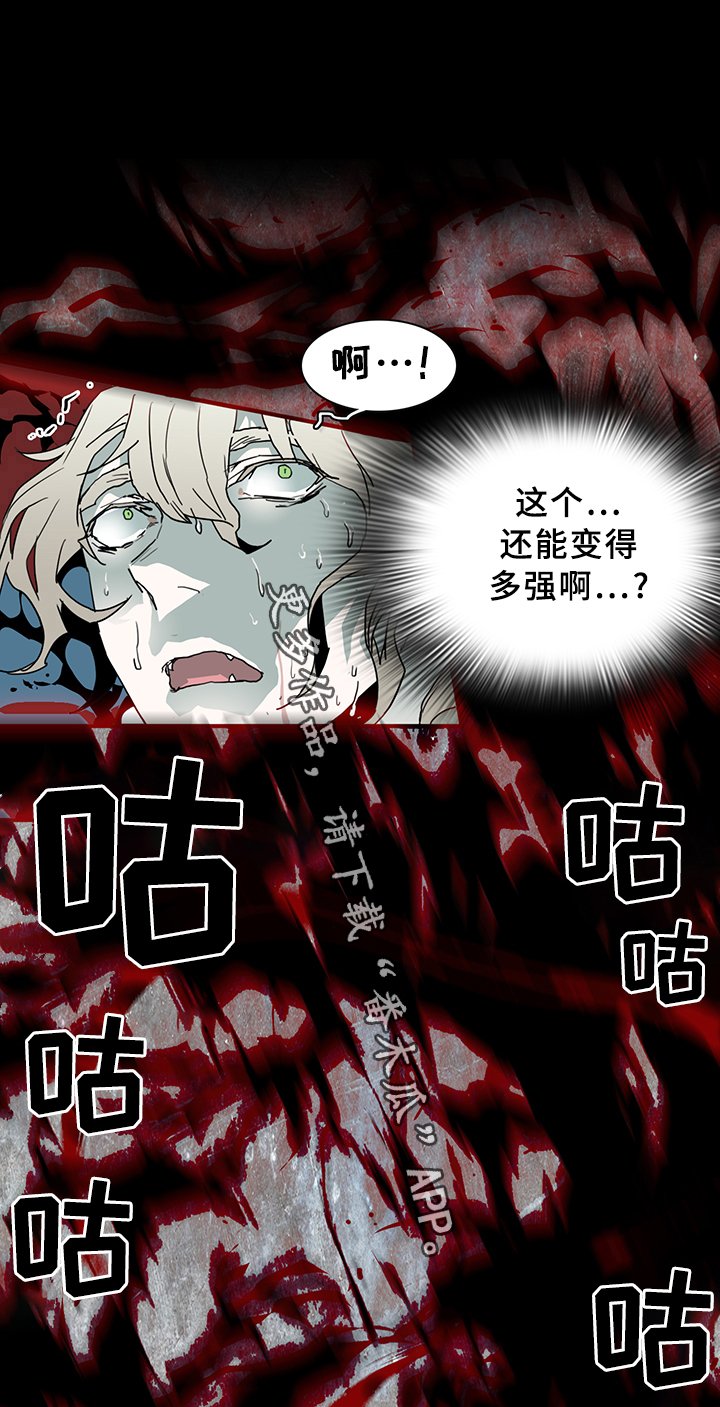 第80章：真相