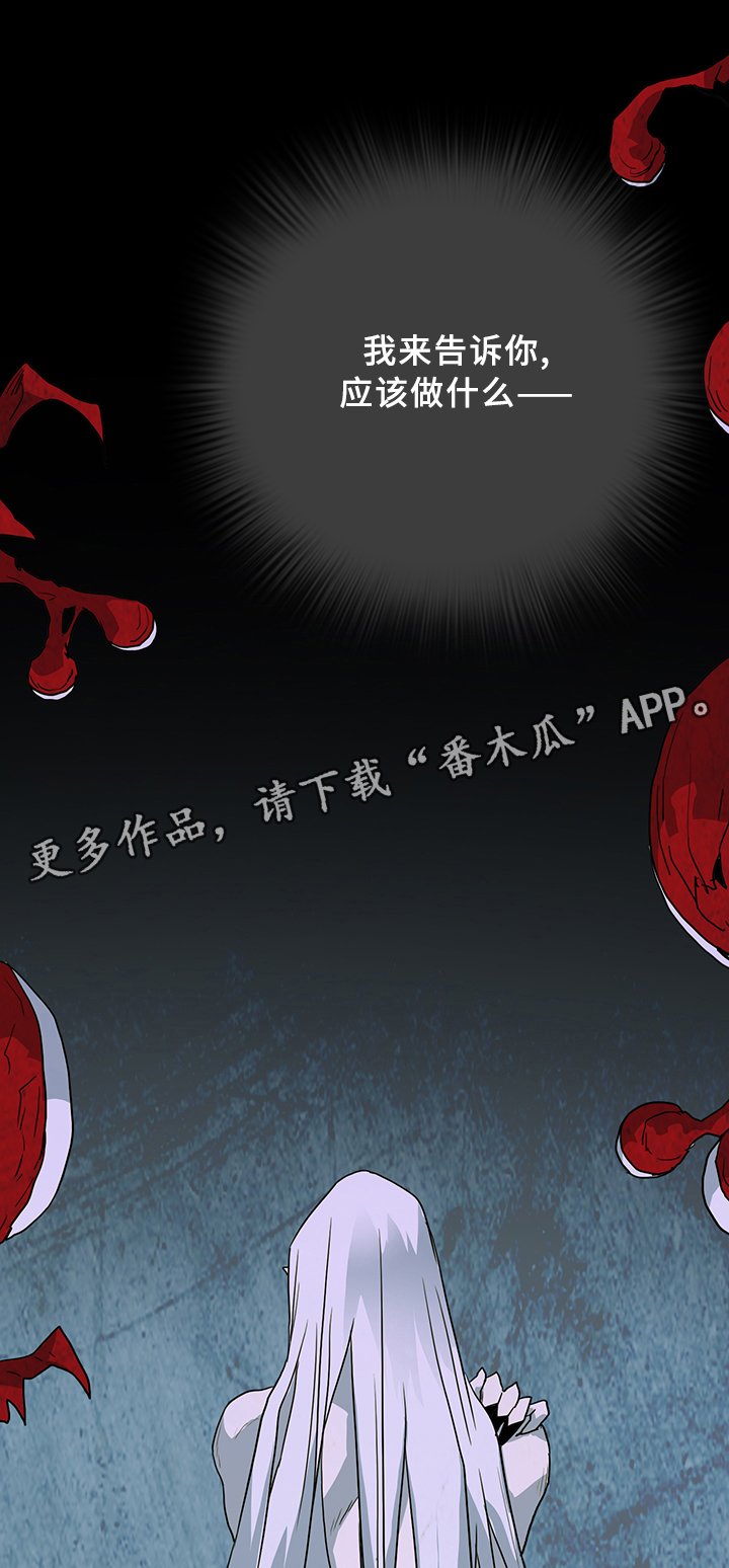 第82章：开战