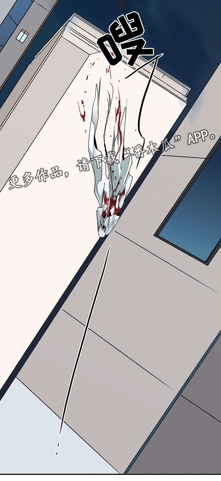 第85章：选择