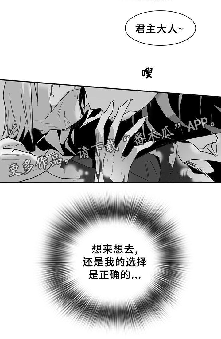 第85章：选择