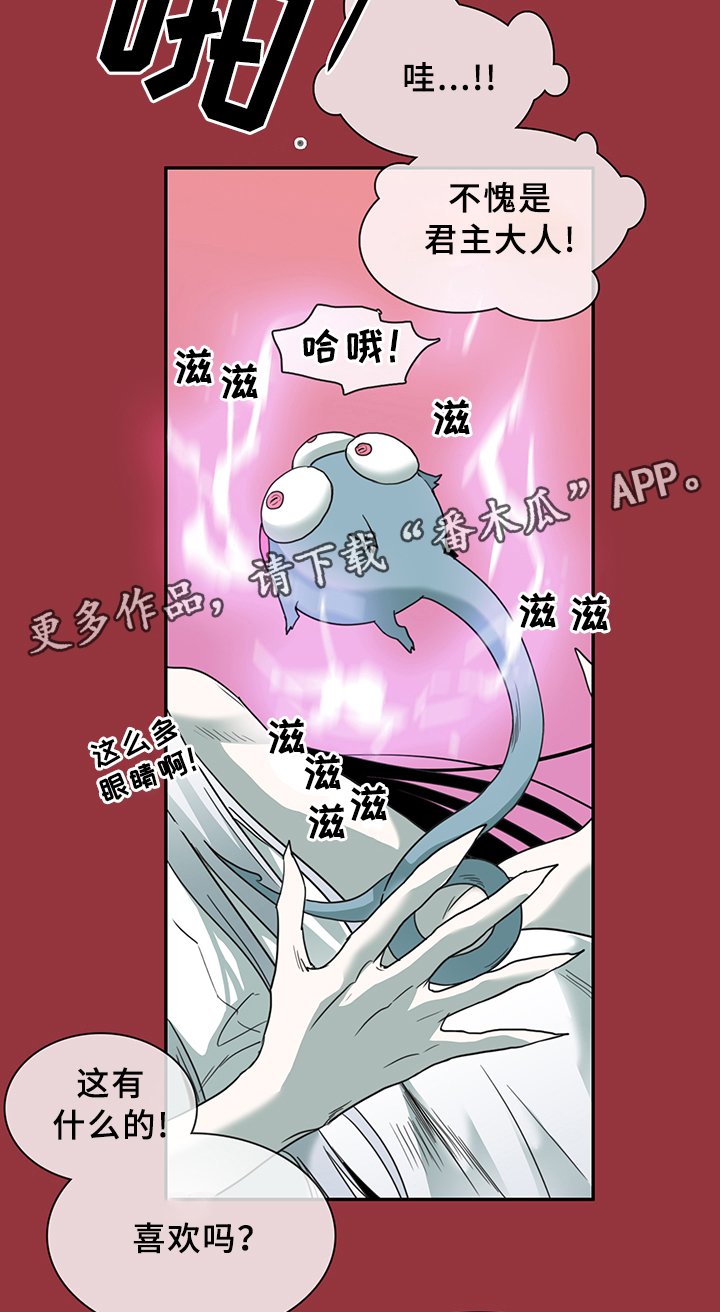 第85章：选择