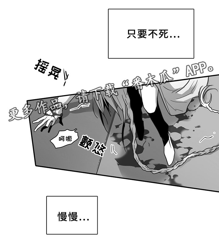 第86章：我等你好久