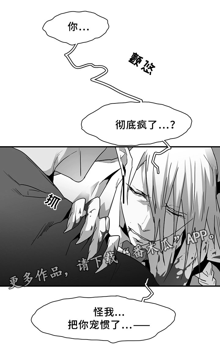 第87章：行踪