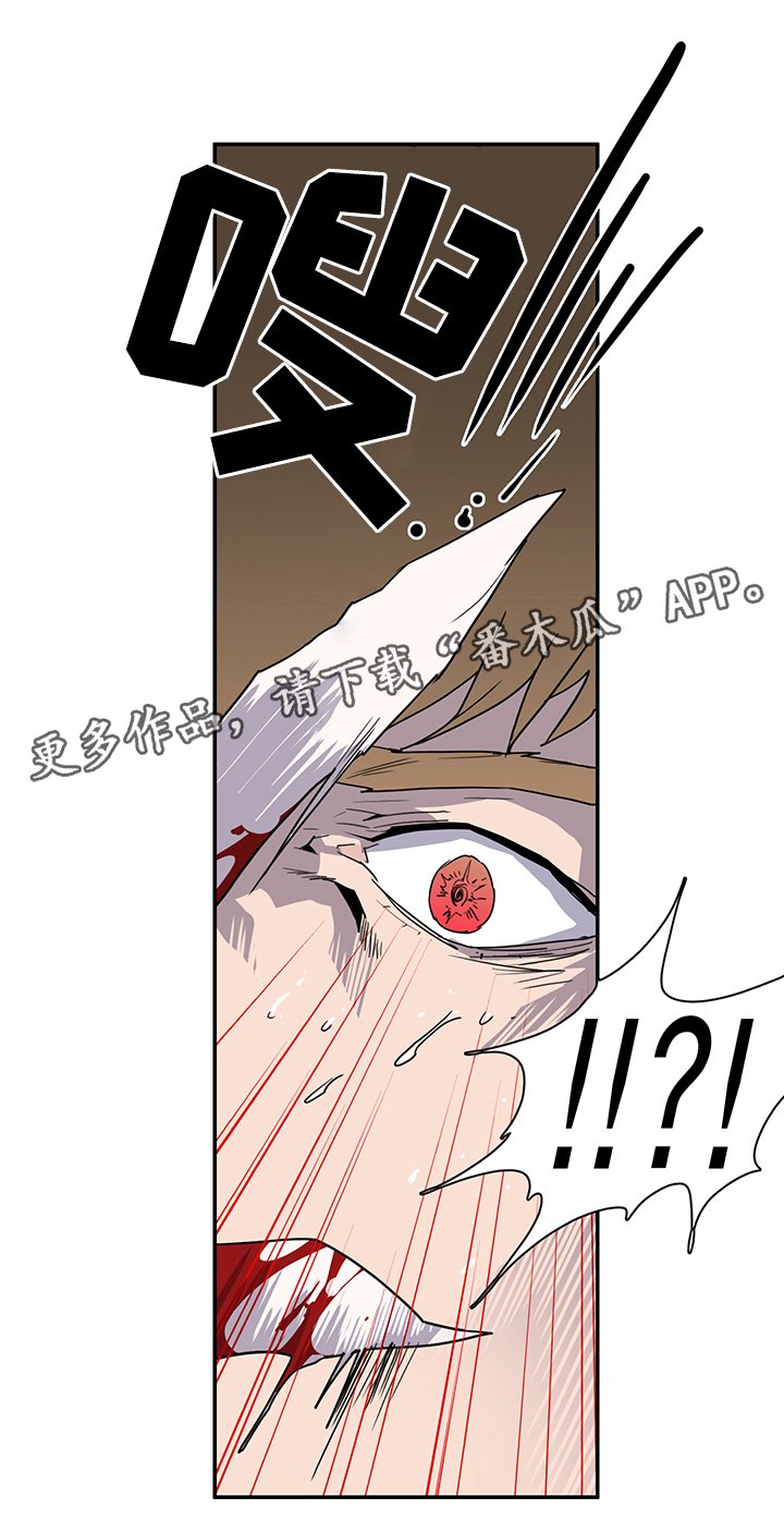 第87章：行踪