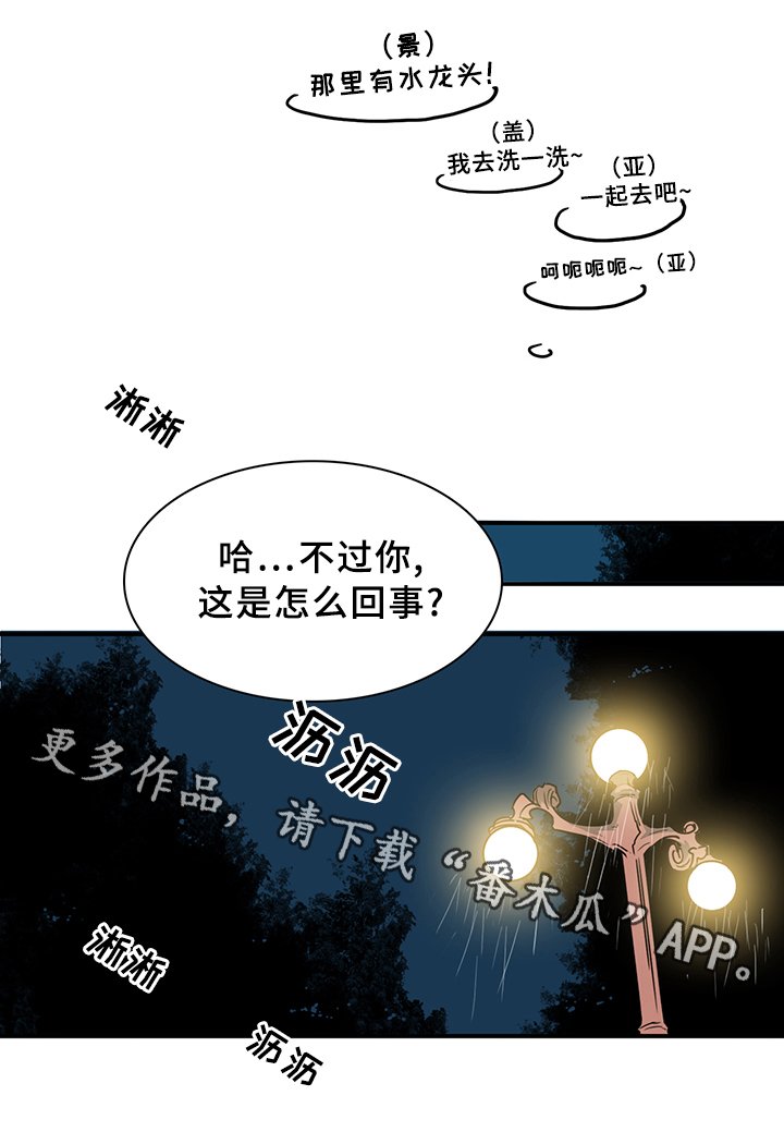 第87章：行踪