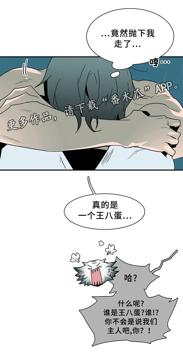第87章：行踪
