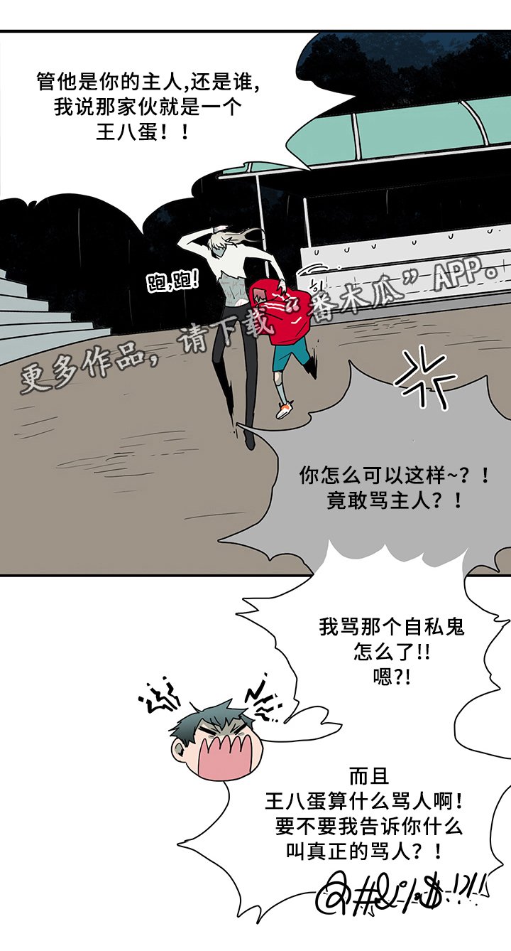 第87章：行踪