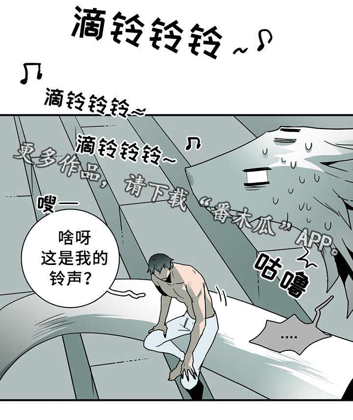 第87章：行踪