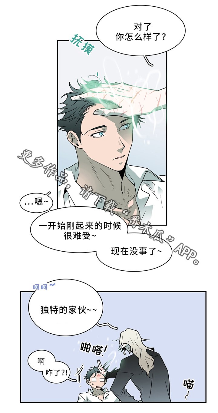 第94章：那个笨蛋!