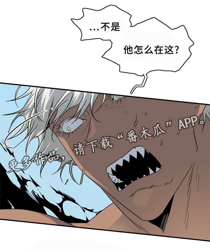 第95章：找到