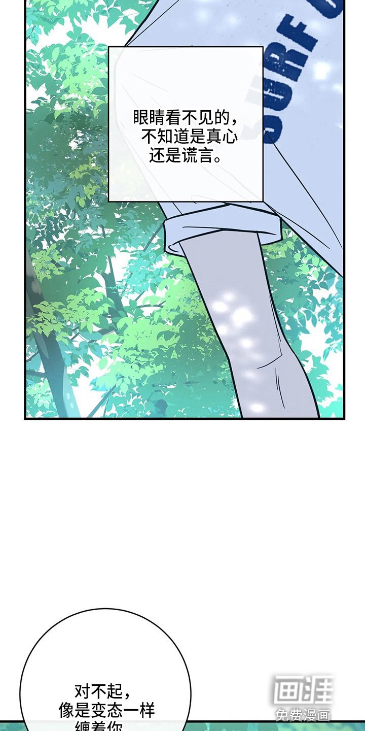 第55章：表白