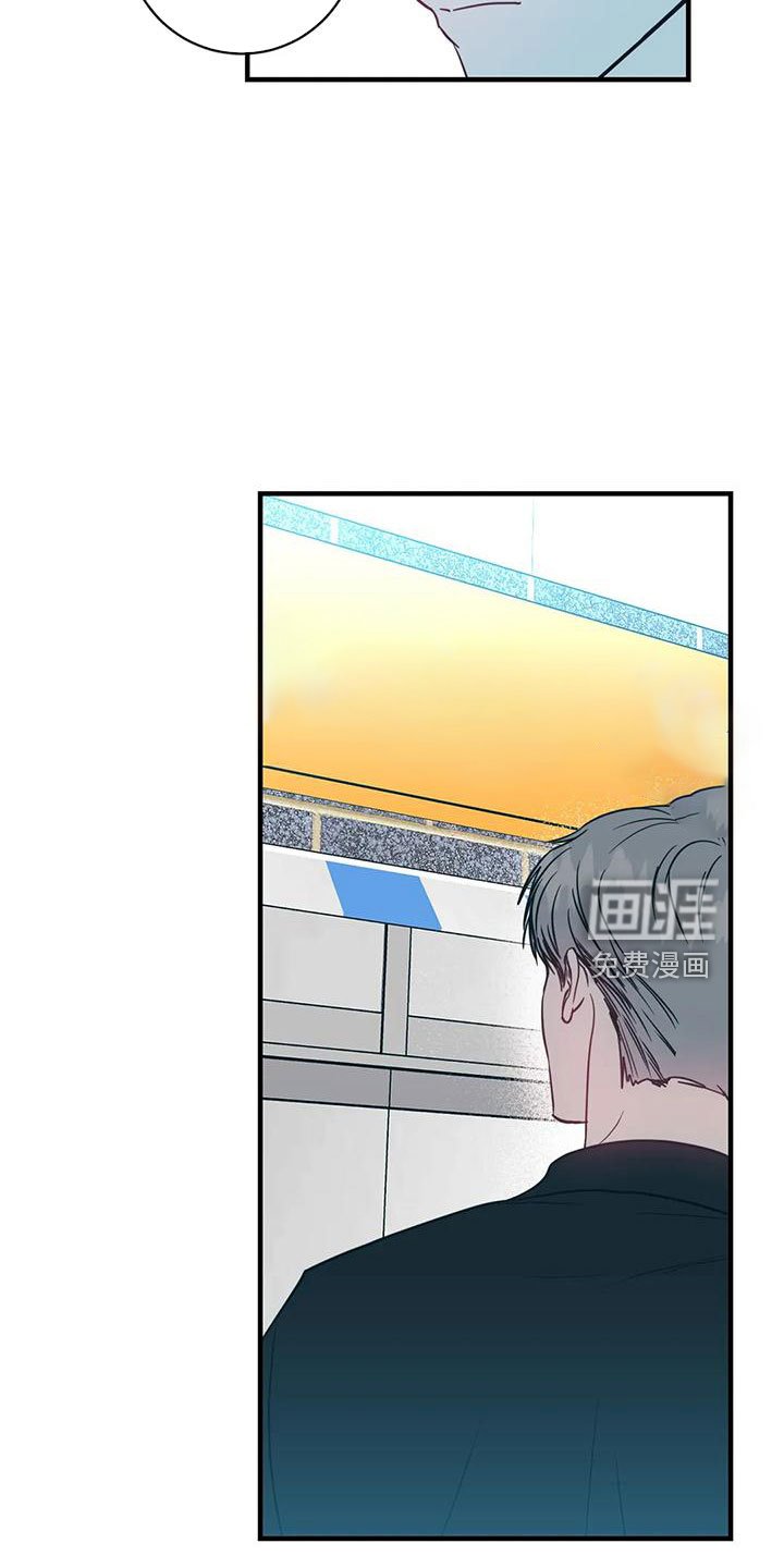 第66章：坠入爱河