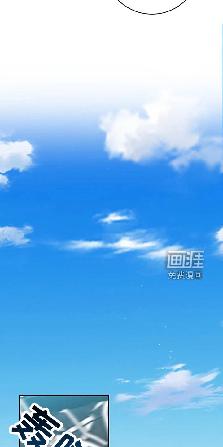 第66章：坠入爱河