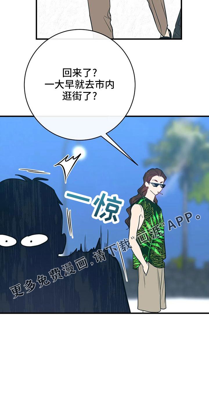 第66章：坠入爱河