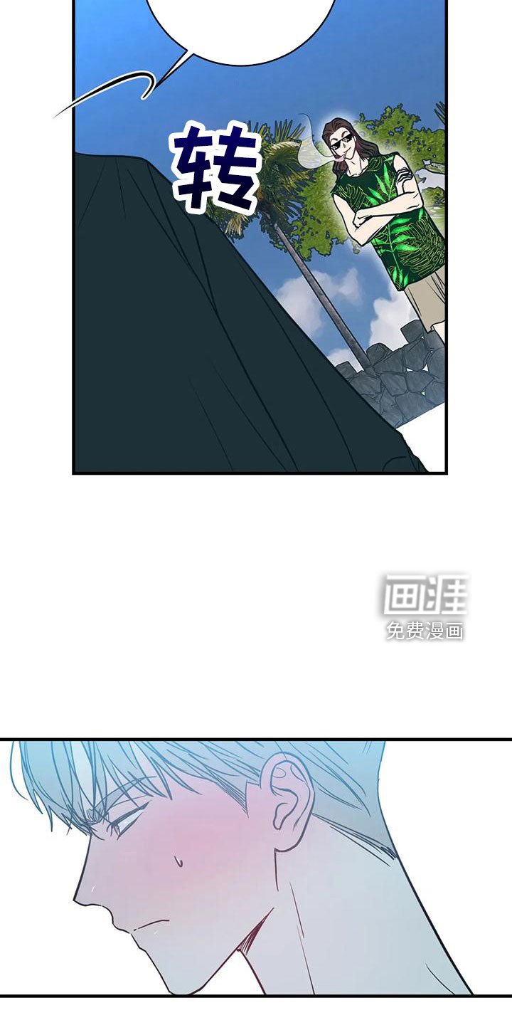 第66章：坠入爱河