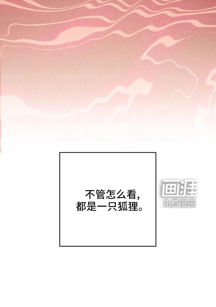 第67章：狐狸