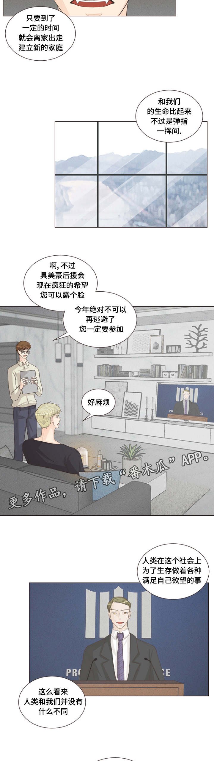 第15章：很浅的结界