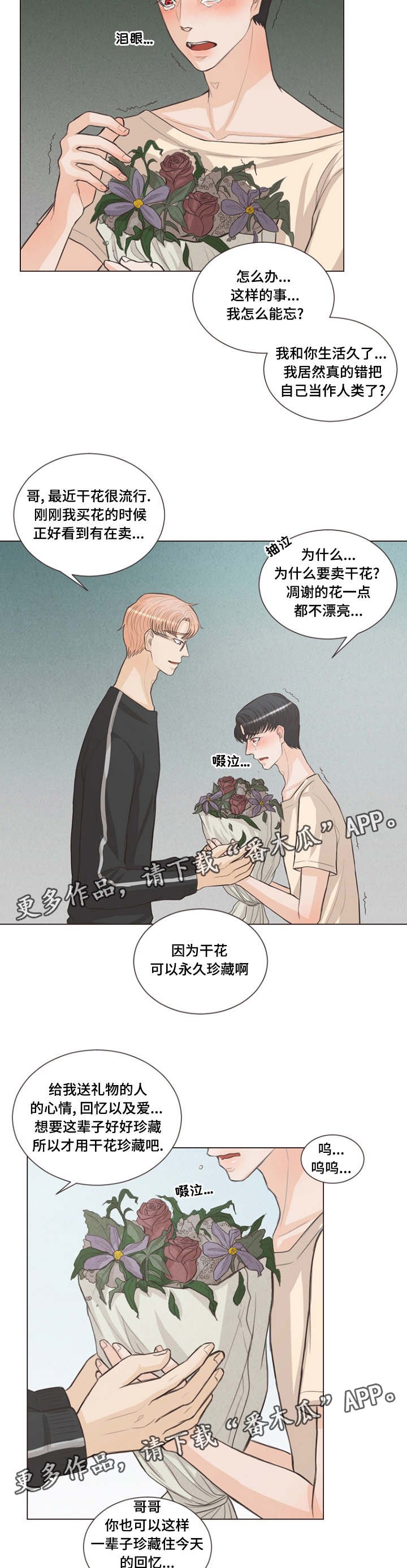第18章：是爱情呀