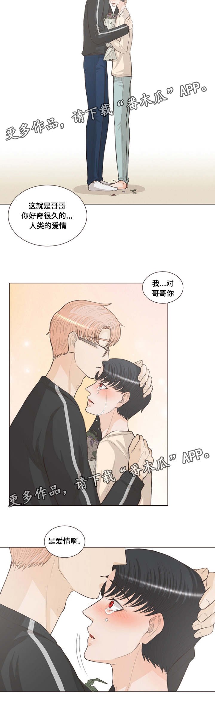 第18章：是爱情呀