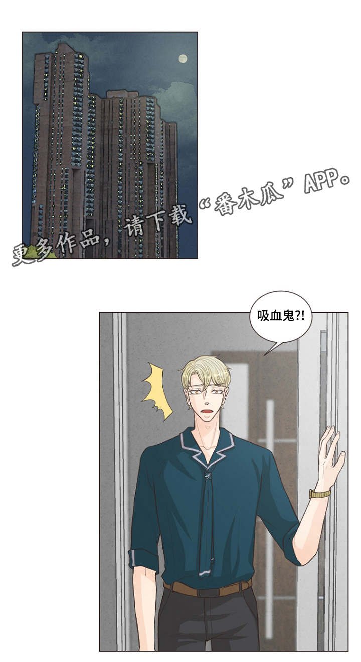 第21章：便宜点