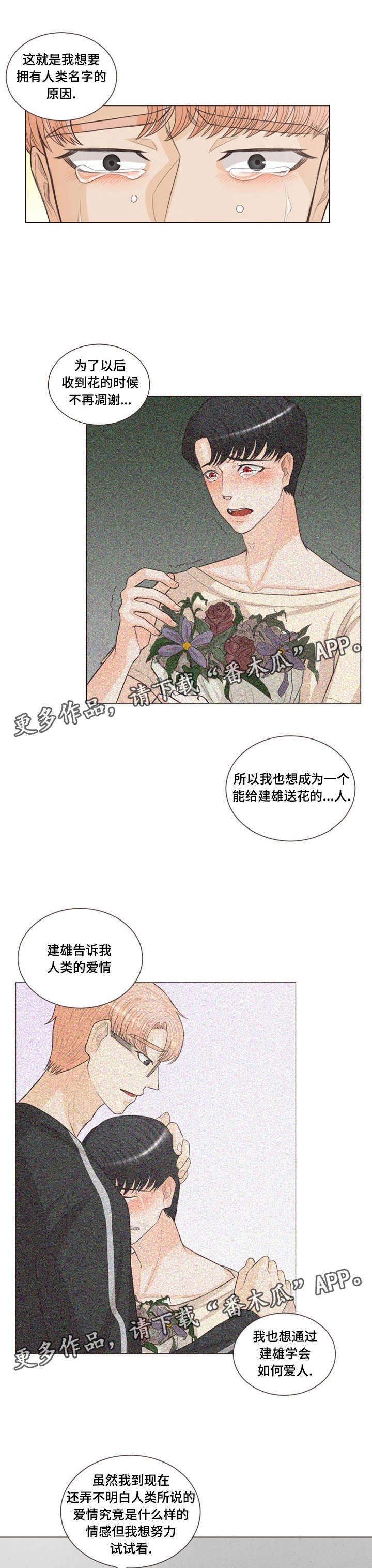 第25章：类似爱情