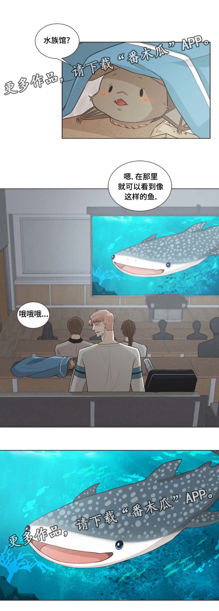 第28章：喜欢的人