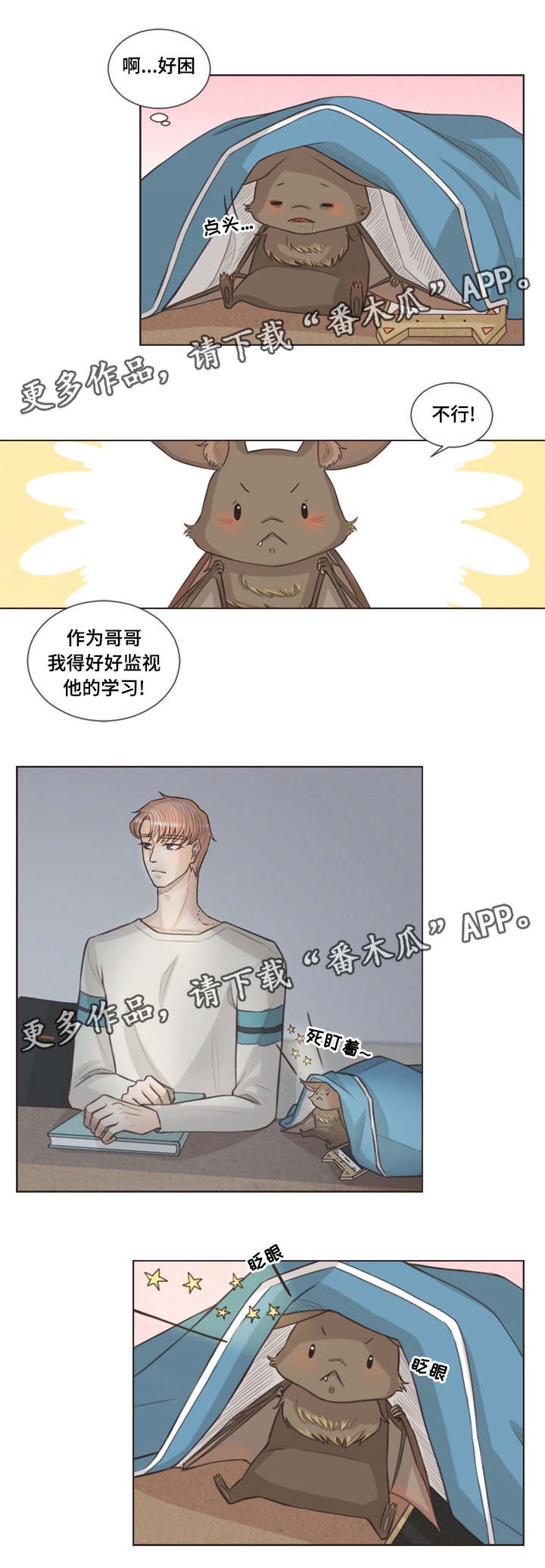 第28章：喜欢的人