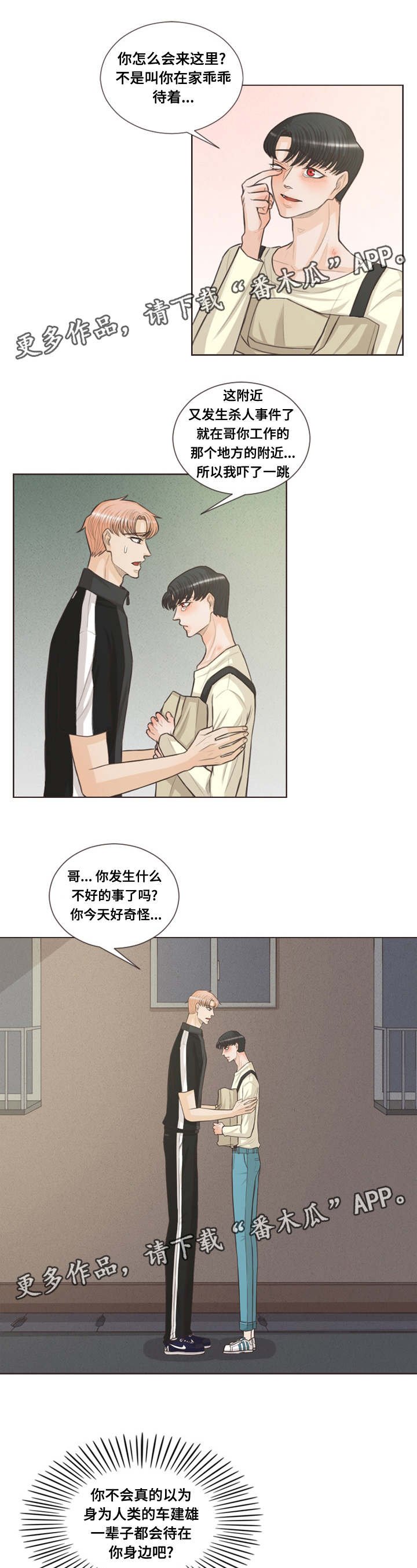 第37章：受伤的是你