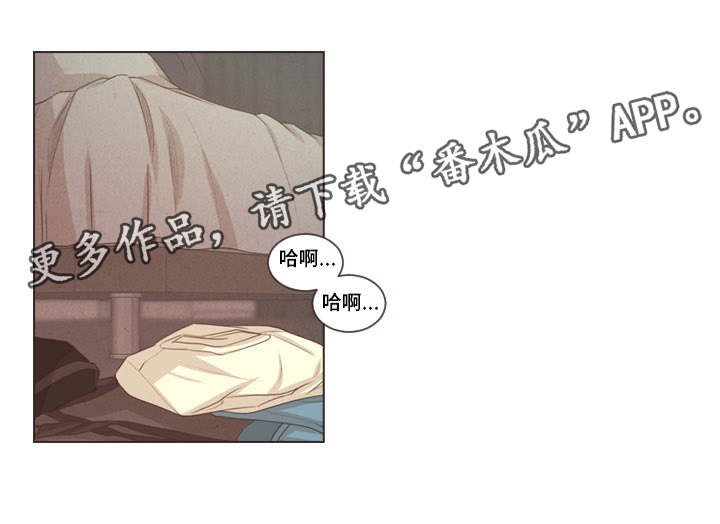第37章：受伤的是你
