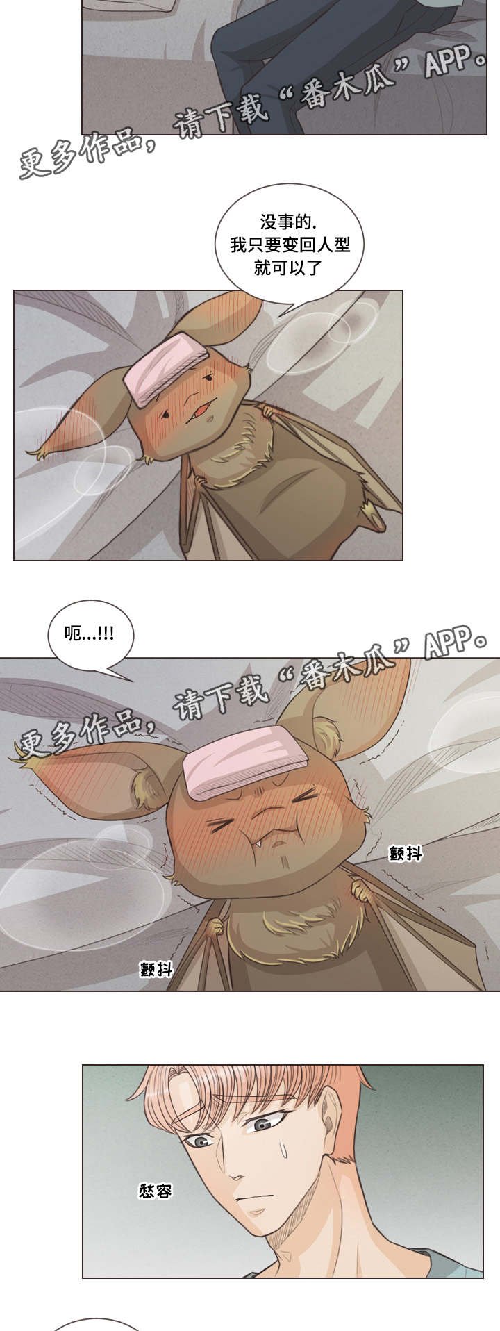 第40章：约会吗