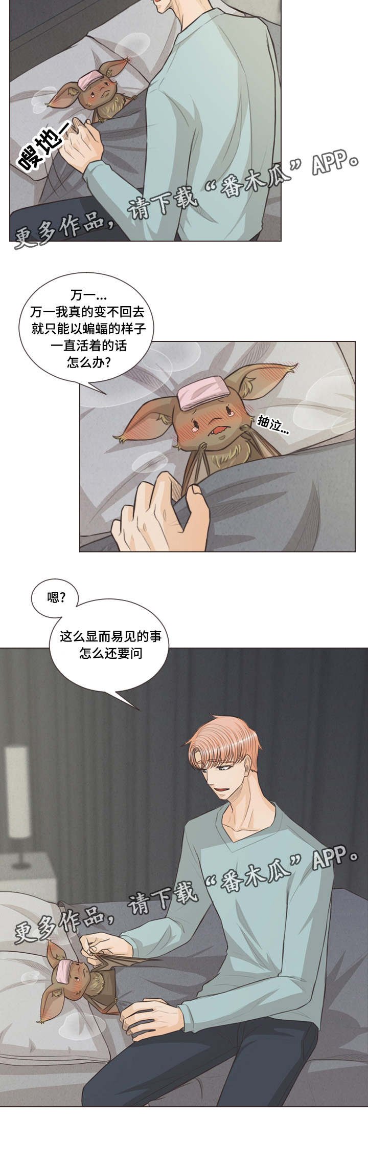 第40章：约会吗
