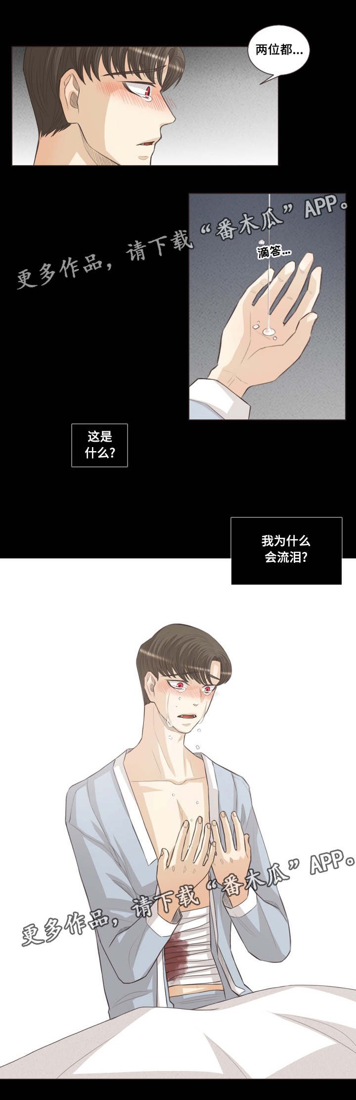 第44章：恩树的过去