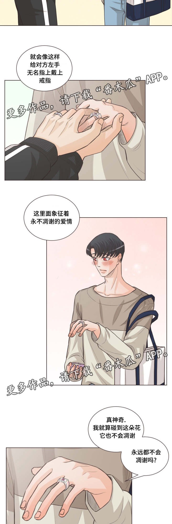 第58章：对戒
