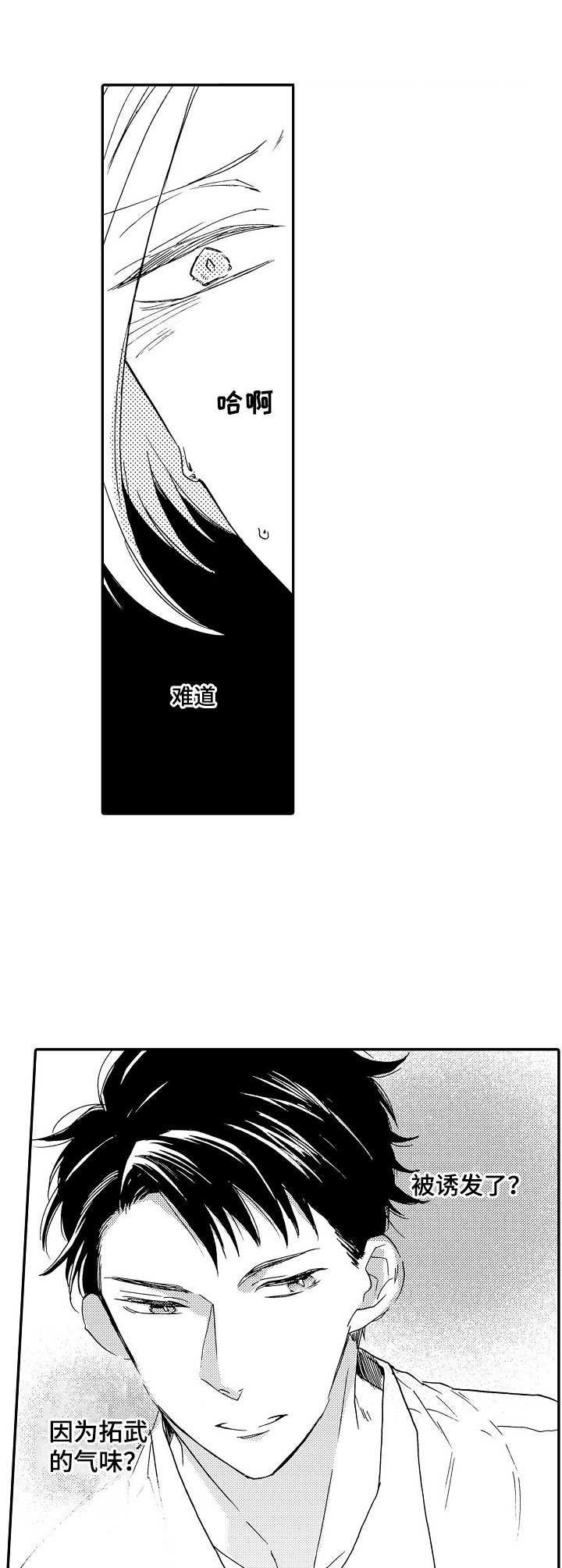 第12章：诱发