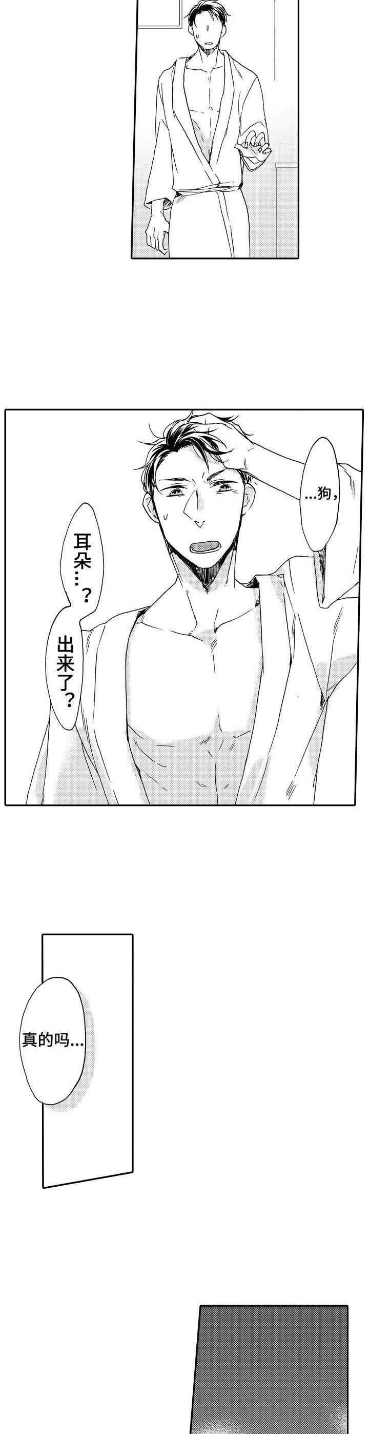 第3章：耳朵