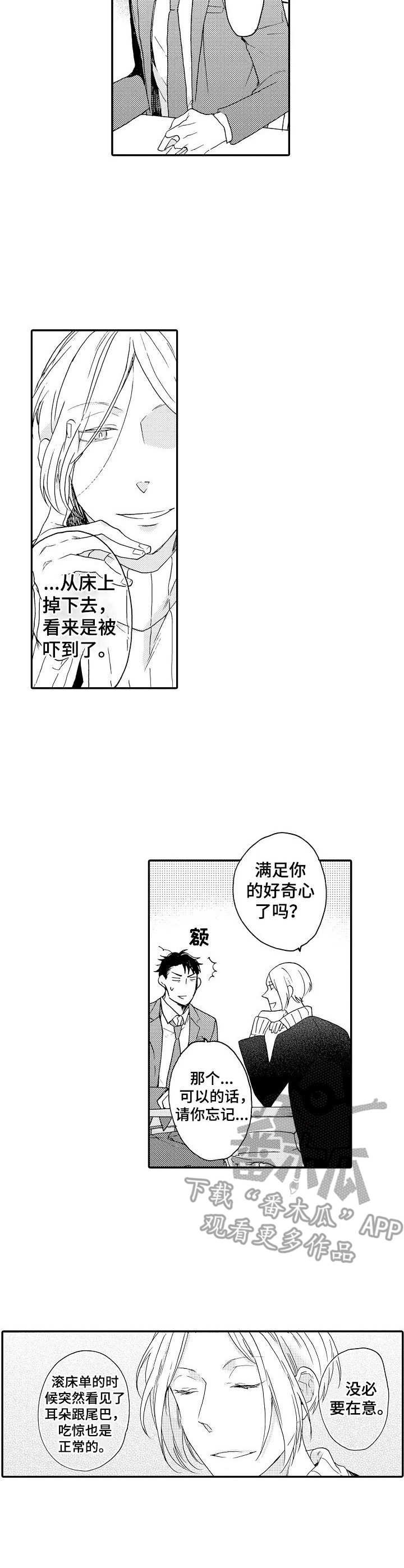 第6章：解释