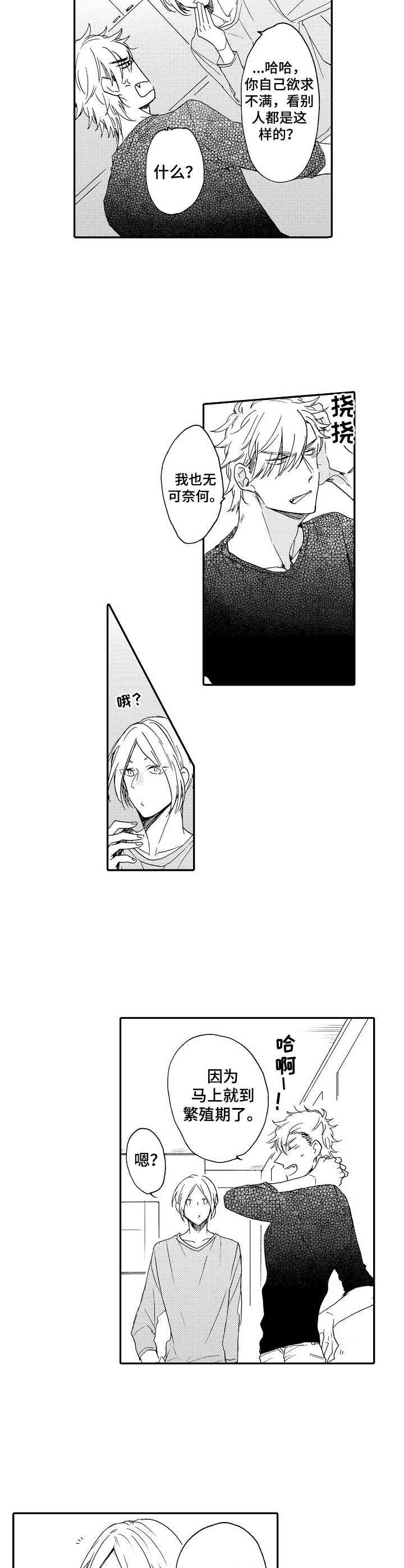 第9章：提点