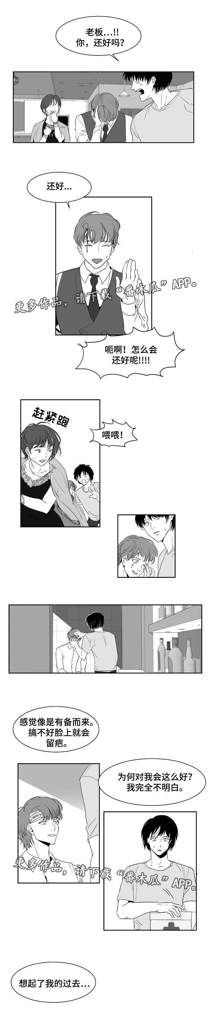 第17章：什么样子