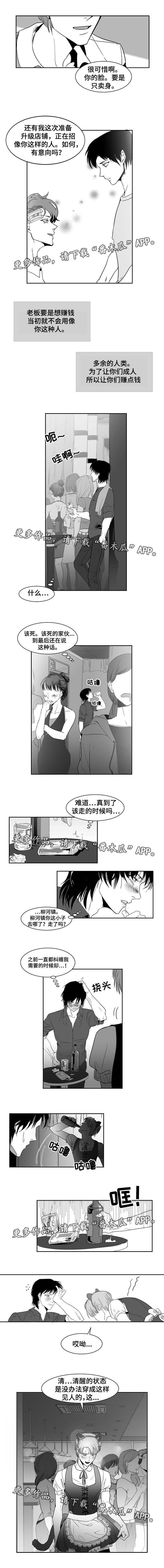 第17章：什么样子