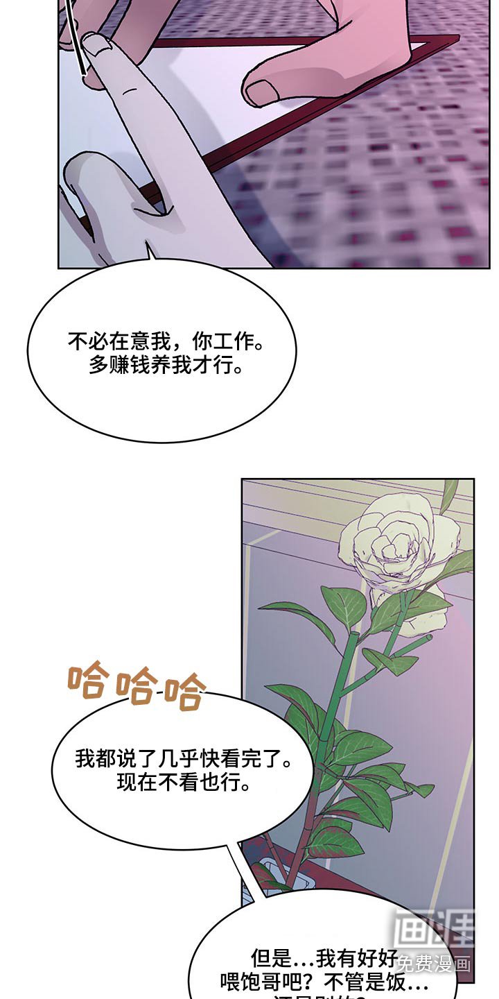 第116章：决定