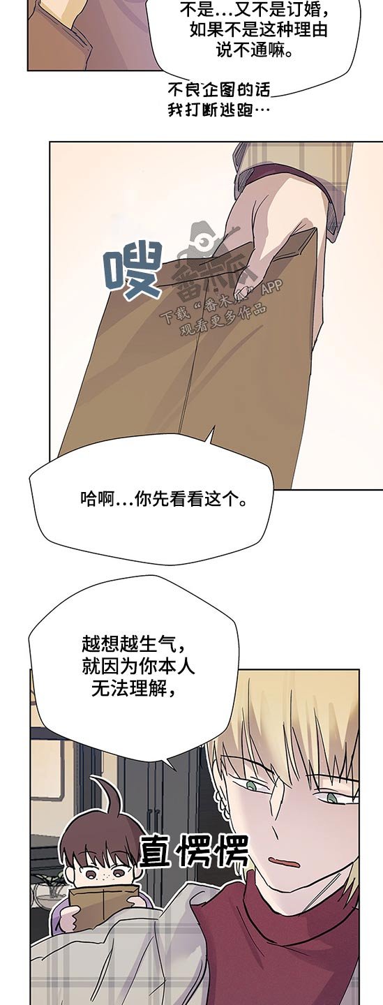第86章：合同