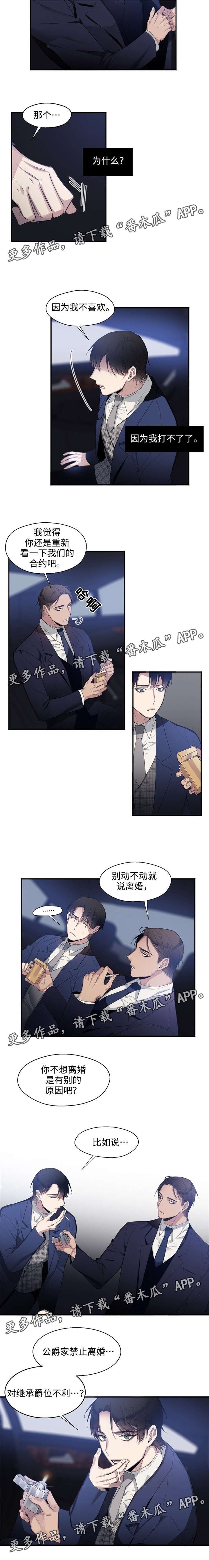 第14章：完美的你